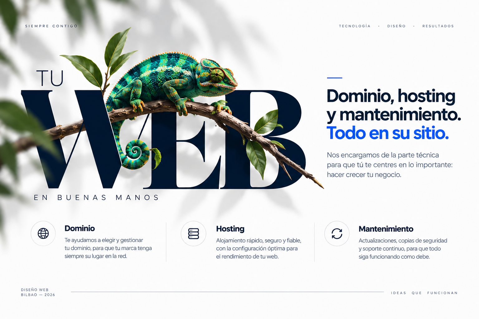 Dominio, hosting y mantenimiento. Todo en su sitio.