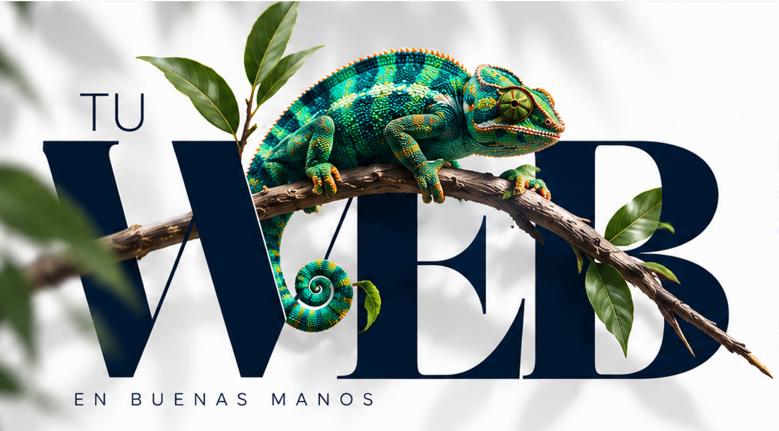 Tu web en buenas manos, con un camaleón entre hojas y ramas sobre la palabra WEB